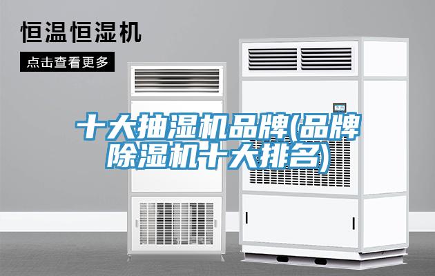 十大抽濕機品牌(品牌草莓视频污污污污十大排名)