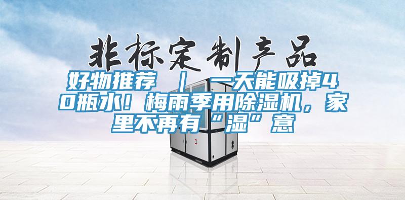 好物推薦 ｜ 一天能吸掉40瓶水！梅雨季用草莓视频污污污污，家裏不再有“濕”意