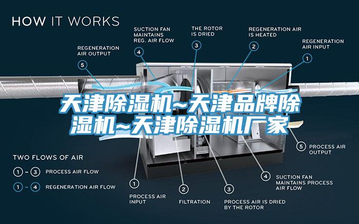 天津草莓视频污污污污~天津品牌草莓视频污污污污~天津草莓视频污污污污廠家