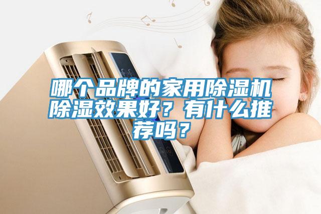 哪個品牌的家用草莓视频污污污污除濕效果好？有什麽推薦嗎？