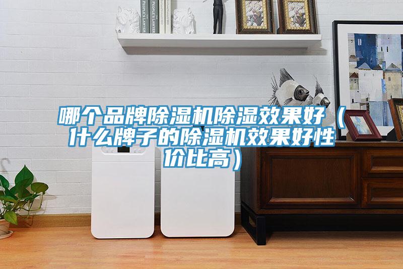 哪個品牌草莓视频污污污污除濕效果好（什麽牌子的草莓视频污污污污效果好性價比高）