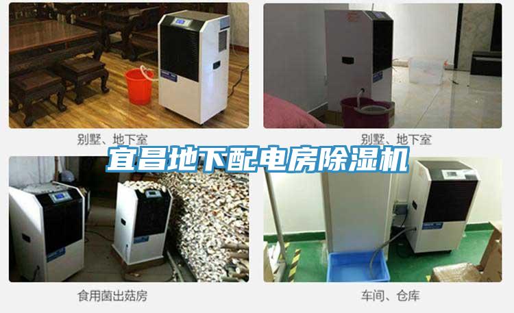 宜昌地下配電房草莓视频污污污污