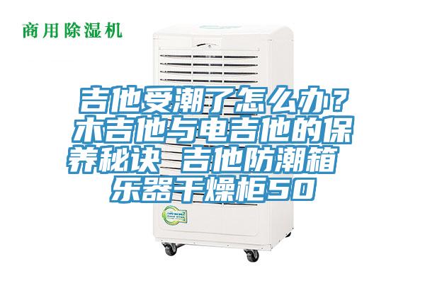 吉他受潮了怎麽辦？木吉他與電吉他的保養秘訣 吉他防潮箱 樂器幹燥櫃50