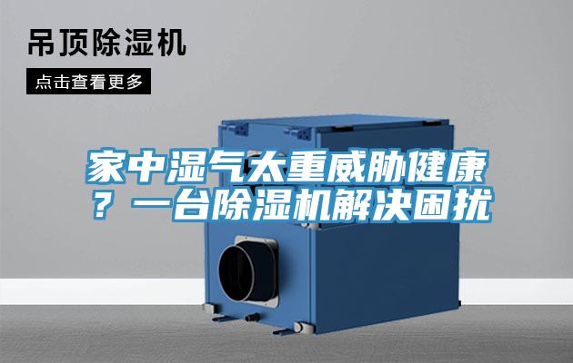 家中濕氣太重威脅健康？一台草莓视频污污污污解決困擾