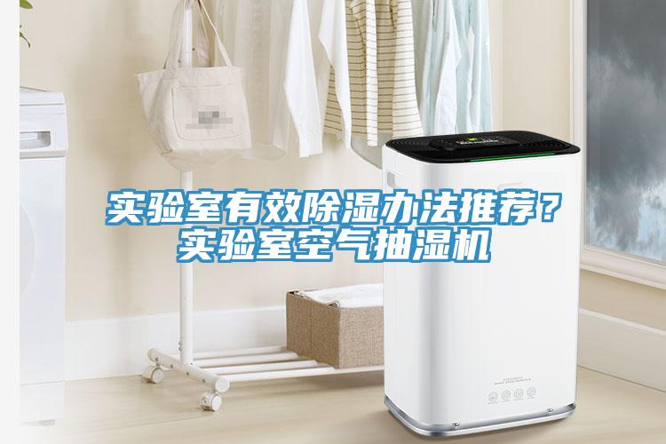 實驗室有效除濕辦法推薦？實驗室空氣抽濕機