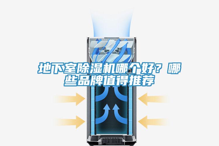 地下室草莓视频污污污污哪個好？哪些品牌值得推薦