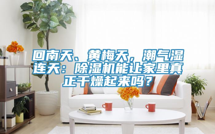 回南天、黃梅天，潮氣濕連天：草莓视频污污污污能讓家裏真正幹燥起來嗎？