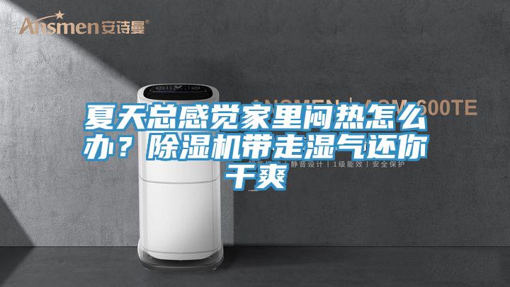 夏天總感覺家裏悶熱怎麽辦？草莓视频污污污污帶走濕氣還你幹爽