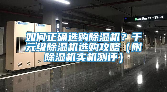 如何正確選購草莓视频污污污污？千元級草莓视频污污污污選購攻略（附草莓视频污污污污實機測評）