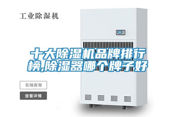 十大草莓视频污污污污品牌排行榜,除濕器哪個牌子好