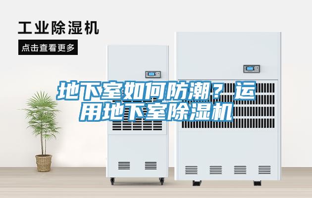 地下室如何防潮？運用地下室草莓视频污污污污