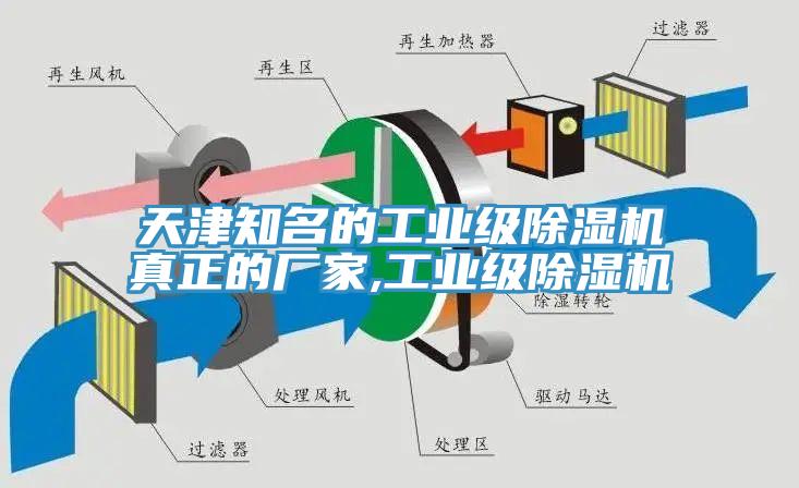 天津知名的工業級草莓视频污污污污真正的廠家,工業級草莓视频污污污污