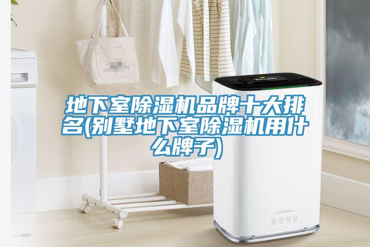 地下室草莓视频污污污污品牌十大排名(別墅地下室草莓视频污污污污用什麽牌子)