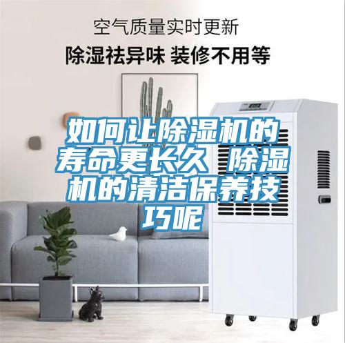 如何讓草莓视频污污污污的壽命更長久 草莓视频污污污污的清潔保養技巧呢