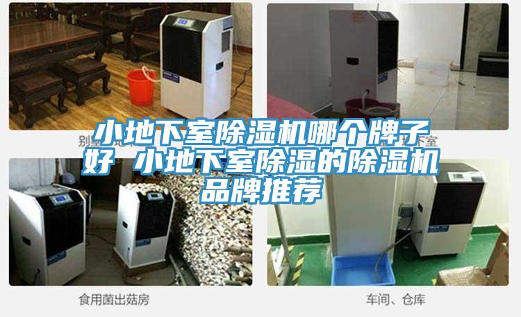 小地下室草莓视频污污污污哪個牌子好 小地下室除濕的草莓视频污污污污品牌推薦