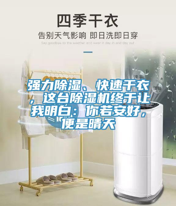 強力除濕、快速幹衣，這台草莓视频污污污污終於讓我明白：你若安好，便是晴天