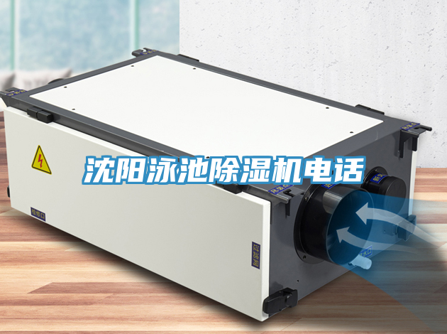 沈陽泳池草莓视频污污污污電話