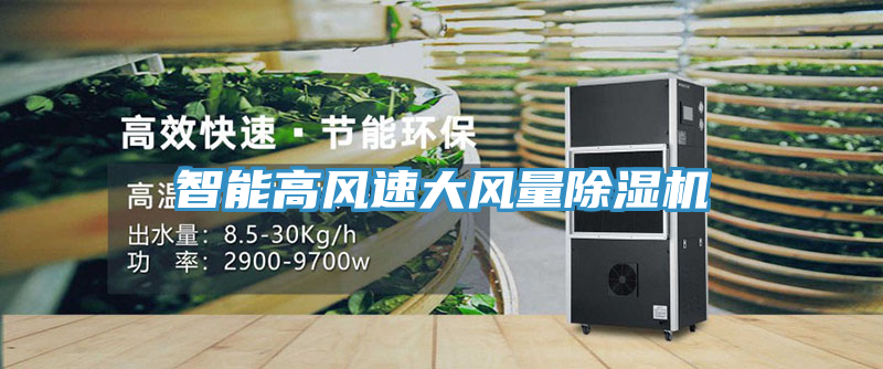 智能高風速大風量草莓视频污污污污