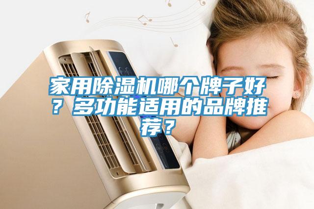 家用草莓视频污污污污哪個牌子好？多功能適用的品牌推薦？