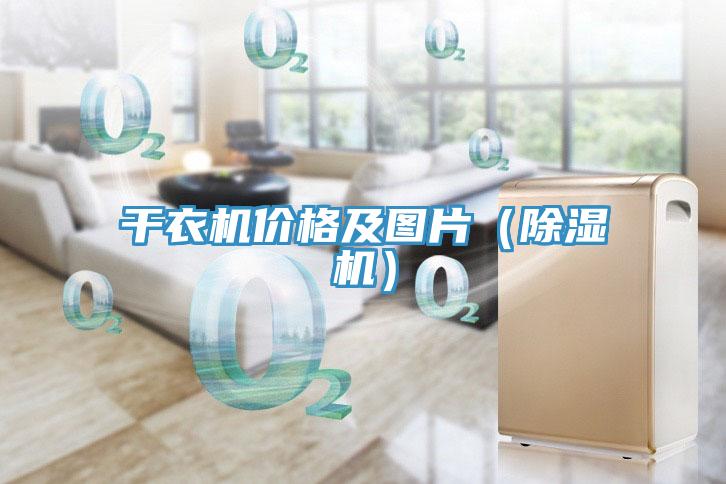 幹衣機價格及圖片（草莓视频污污污污）