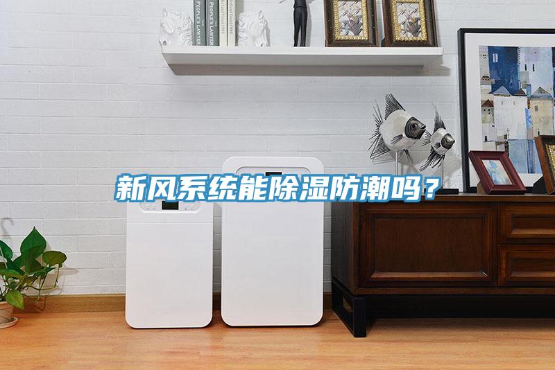 新風係統能除濕防潮嗎？