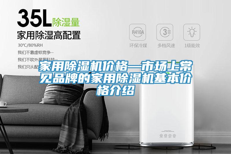 家用草莓视频污污污污價格—市場上常見品牌的家用草莓视频污污污污基本價格介紹