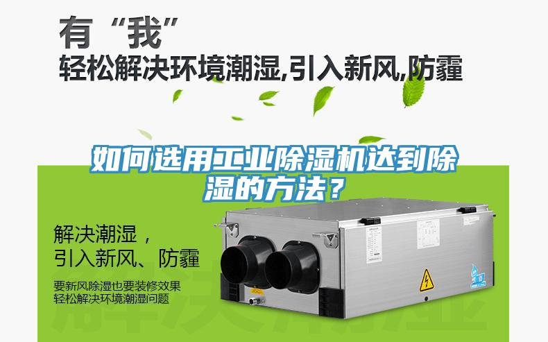 如何選用工業草莓视频污污污污達到除濕的方法？