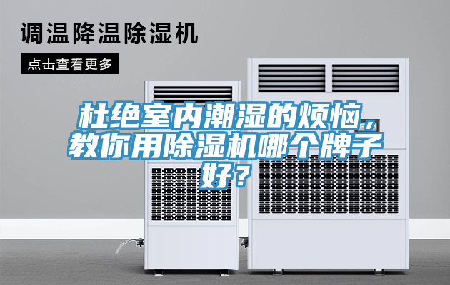 杜絕室內潮濕的煩惱，教你用草莓视频污污污污哪個牌子好？
