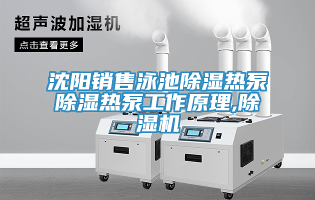 沈陽銷售泳池除濕熱泵除濕熱泵工作原理,草莓视频污污污污