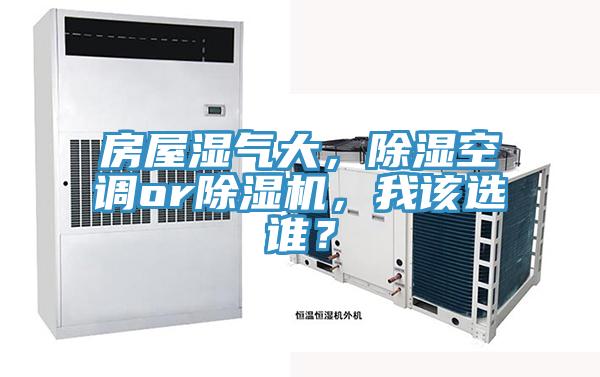 房屋濕氣大，除濕空調or草莓视频污污污污，我該選誰？