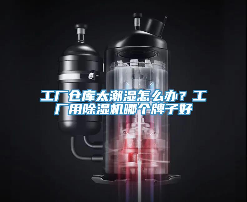 工廠倉庫太潮濕怎麽辦？工廠用草莓视频污污污污哪個牌子好