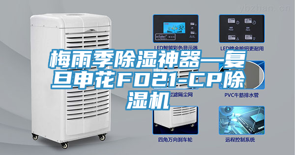 梅雨季除濕神器—複旦申花FD21-CP草莓视频污污污污