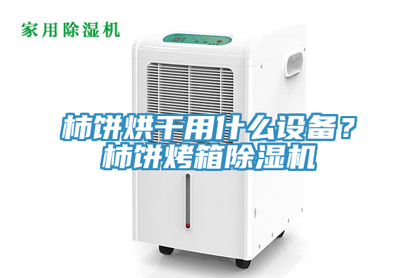 柿餅烘幹用什麽設備？柿餅烤箱草莓视频污污污污