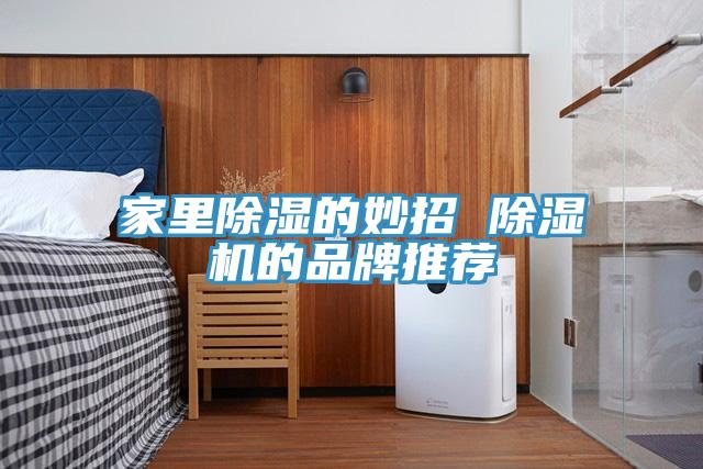家裏除濕的妙招 草莓视频污污污污的品牌推薦