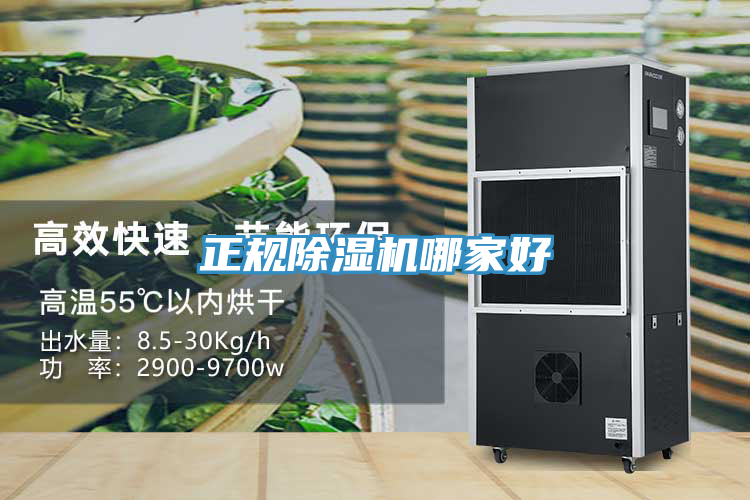 正規草莓视频污污污污哪家好