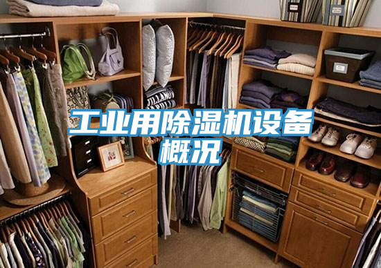 工業用草莓视频污污污污設備概況