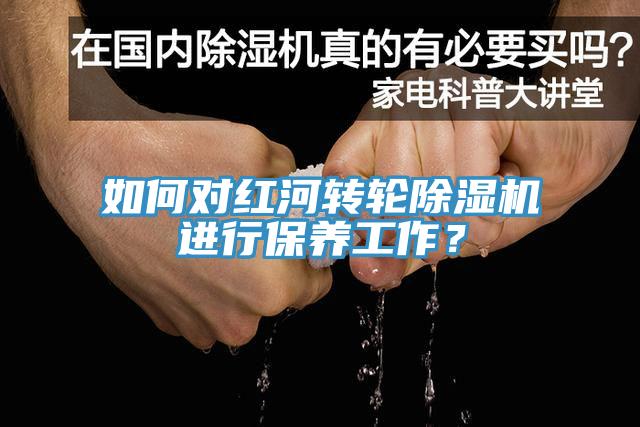 如何對紅河轉輪草莓视频污污污污進行保養工作？