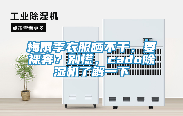 梅雨季衣服曬不幹，要裸奔？別慌，cado草莓视频污污污污了解一下