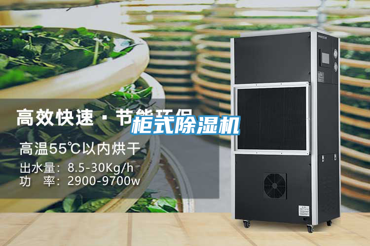 櫃式草莓视频污污污污