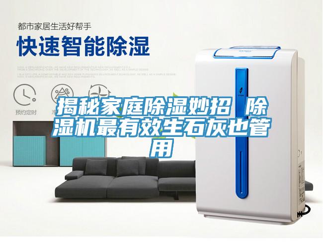 揭秘家庭除濕妙招 草莓视频污污污污最有效生石灰也管用