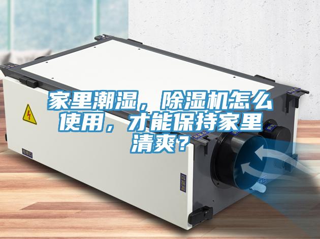 家裏潮濕，草莓视频污污污污怎麽使用，才能保持家裏清爽？