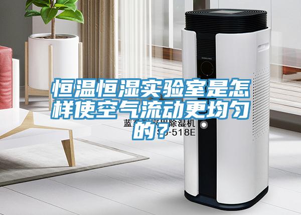 恒溫恒濕實驗室是怎樣使空氣流動更均勻的？
