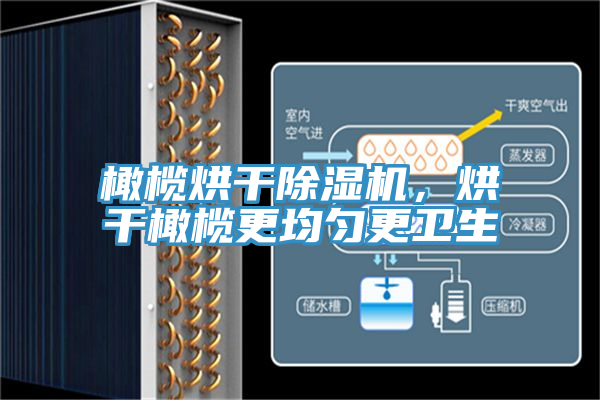 橄欖烘幹草莓视频污污污污，烘幹橄欖更均勻更衛生