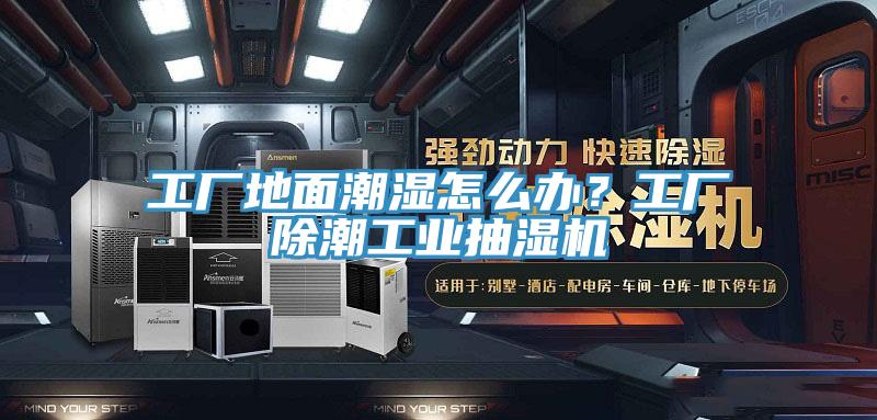 工廠地麵潮濕怎麽辦？工廠除潮工業抽濕機