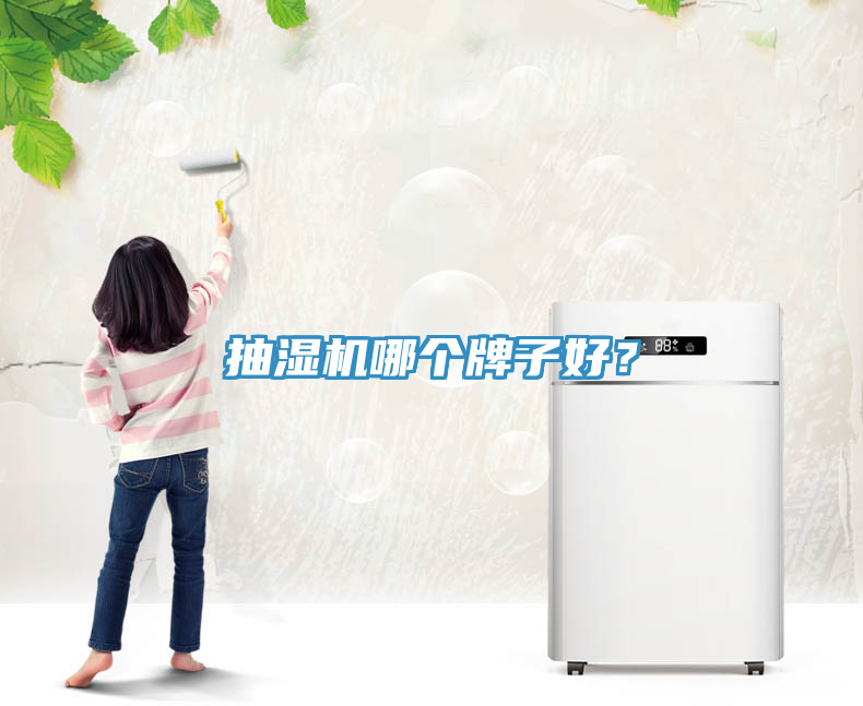 抽濕機哪個牌子好？