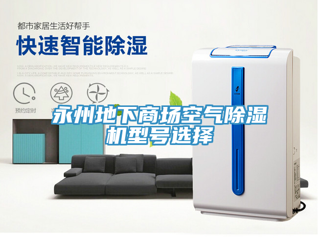 永州地下商場空氣草莓视频污污污污型號選擇