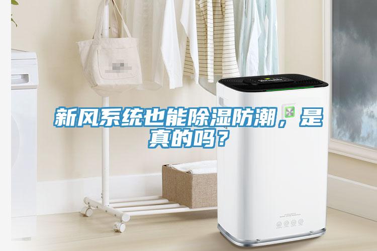 新風係統也能除濕防潮，是真的嗎？