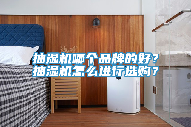 抽濕機哪個品牌的好？抽濕機怎麽進行選購？