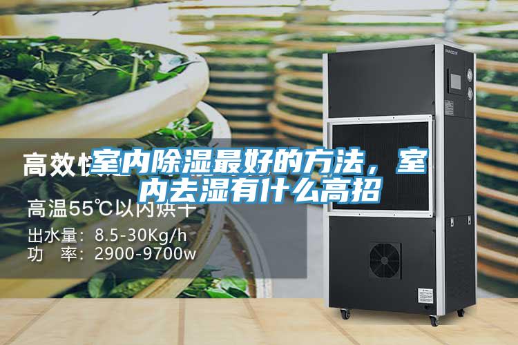 室內除濕最好的方法，室內去濕有什麽高招