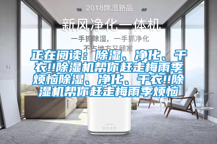 正在閱讀：除濕、淨化、幹衣!!草莓视频污污污污幫你趕走梅雨季煩惱除濕、淨化、幹衣!!草莓视频污污污污幫你趕走梅雨季煩惱